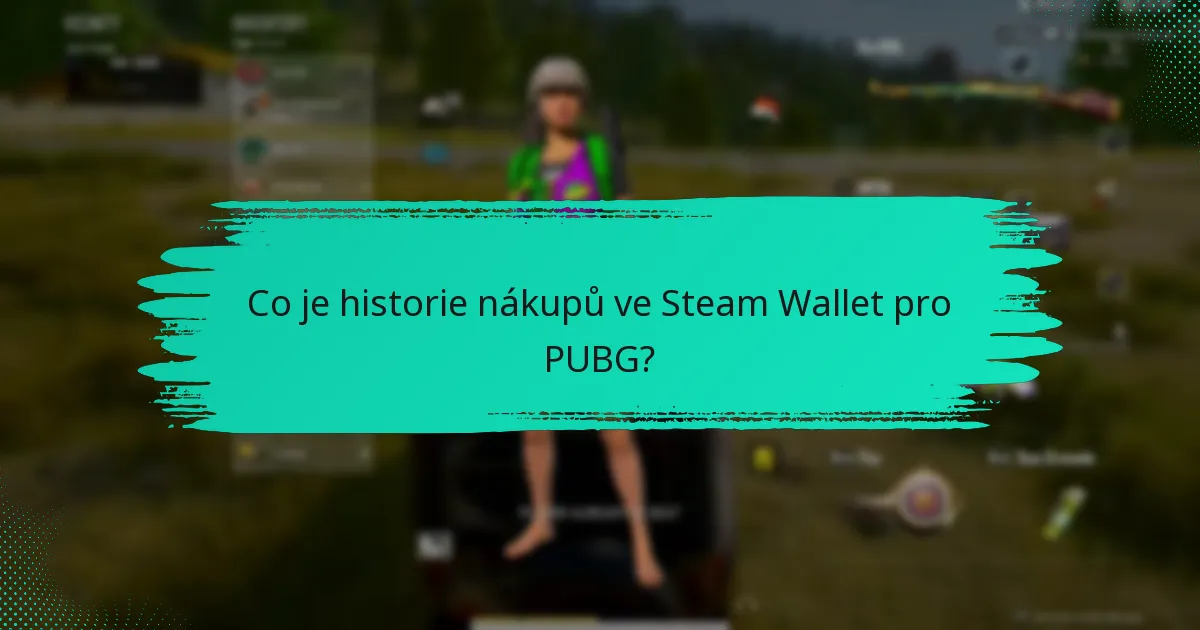 Jak požádat o vrácení peněz za nákupy PUBG?