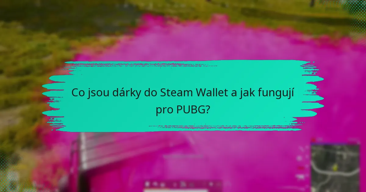 Jak poslat dárek do Steam Wallet pro PUBG?
