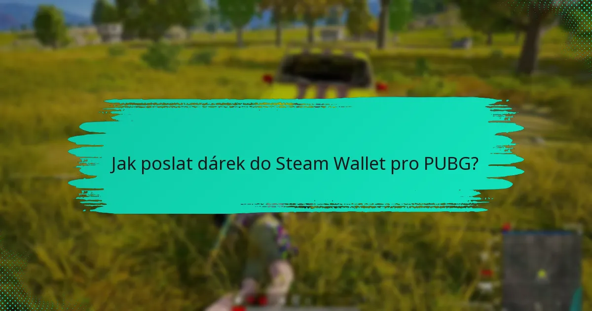 Jak přijmout dárky do Steam Wallet pro PUBG?
