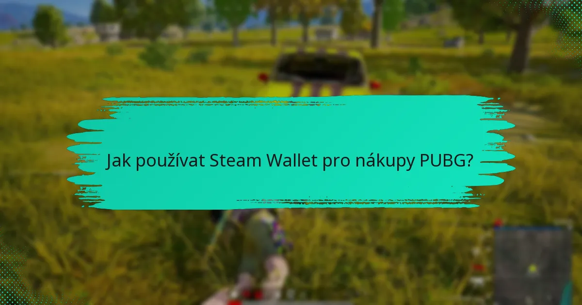 Jak používat Steam Wallet pro nákupy PUBG?