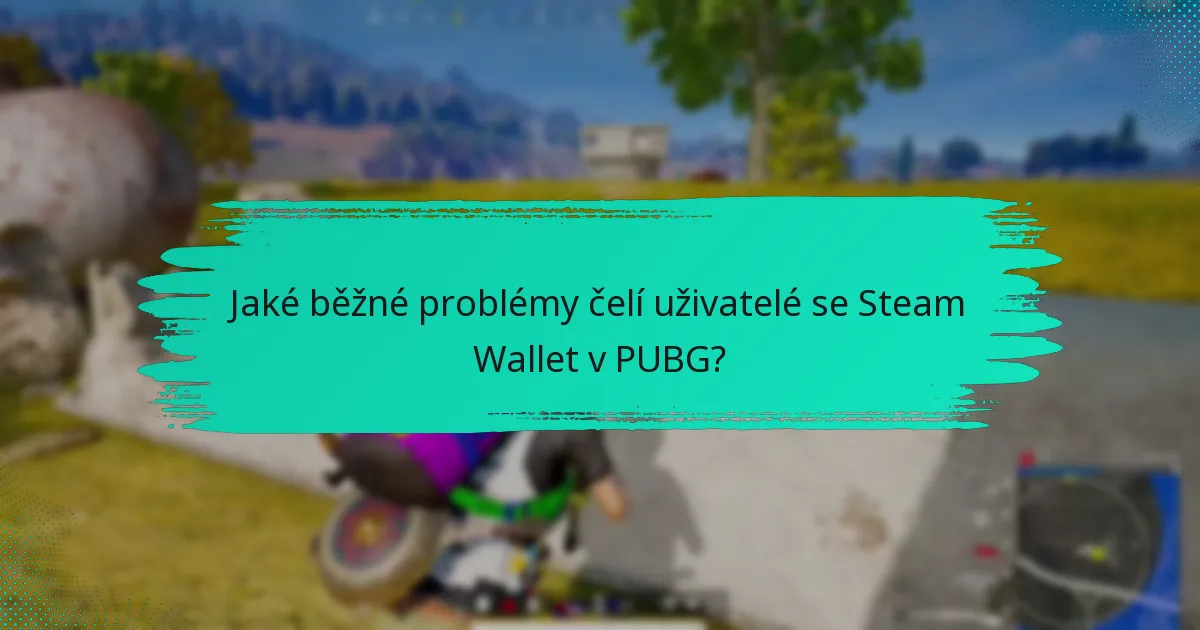 Jak se Steam Wallet srovnává s jinými platebními metodami pro PUBG?