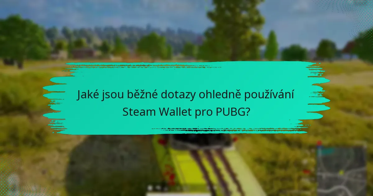 Jaké jsou politiky týkající se používání Steam Wallet pro PUBG?