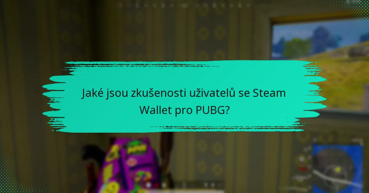 Jaké běžné problémy čelí uživatelé se Steam Wallet v PUBG?